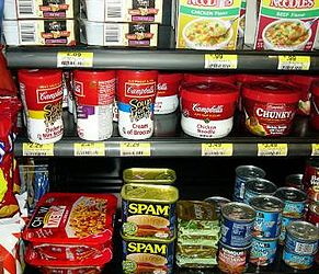 processed foods, lupus flares
